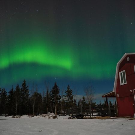 The Big Red Barn Lejlighed Whitehorse Eksteriør billede