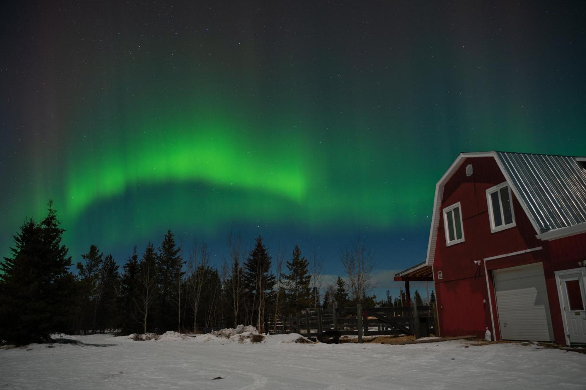 The Big Red Barn Lejlighed Whitehorse Eksteriør billede